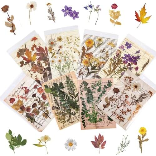 Flower Leaf Stickers Resin Filling For DIY Crystal UV Epoxy Resin Mold Natural Plants Jewelry Making Decoration Handmade Crafts