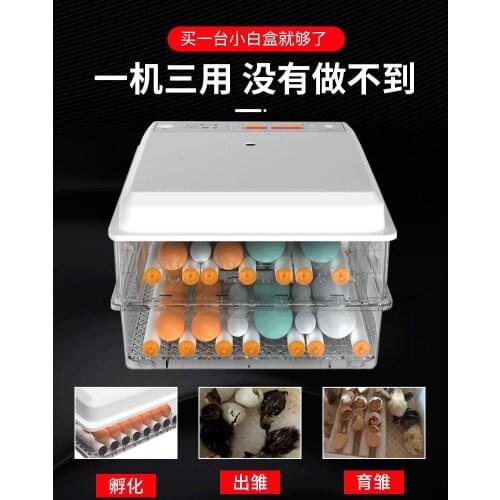 Automatic Small Household Incubator Intelligent Incubator Mini Incubator Incubator Chicken Duck Goose Pigeon
