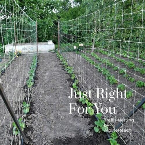Plant Trellis Netting Heavy-Duty Polyester Plant Support Vine Climbing Hydroponics Garden Net Accessories Multi Use Polyester
