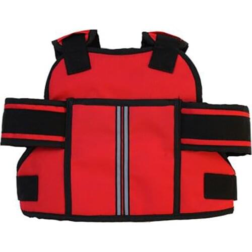 Childrens Motorbike Kids Back Seat Belt Protection Electric Scooter Vehicle Safety Strap Carrier Child Protective Belt