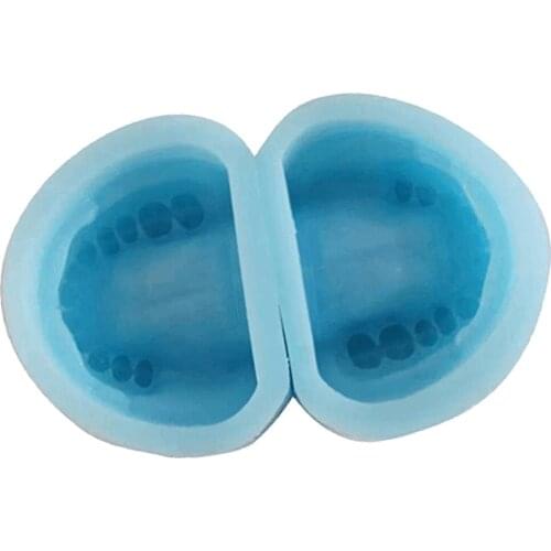 Oral Model Mold Edentulous Dentulous Jaw Base Oral Care Tool