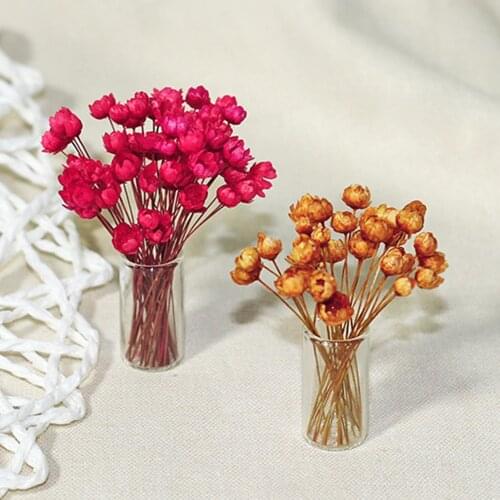 Mini Fresh Dried Flower Vase Model Doll House Decor Home Furnishings DIY Crafts