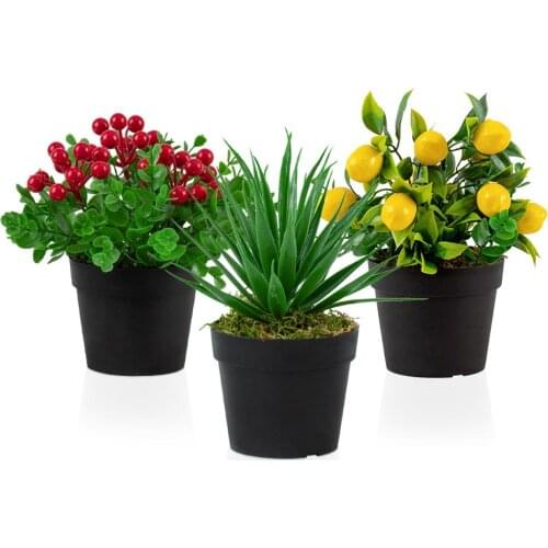 Set of 3 Black Mini Plastic Pot with Artificial Kokina, Aloe Vera and Lemon Flower Quality Artificial Flower