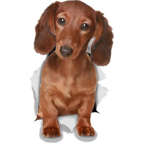 S41016# Various Sizes Self-adhesive PVC Decal Dachshund Dog Car Sticker Waterproof Auto Decors on Bumper Rear Window Laptop