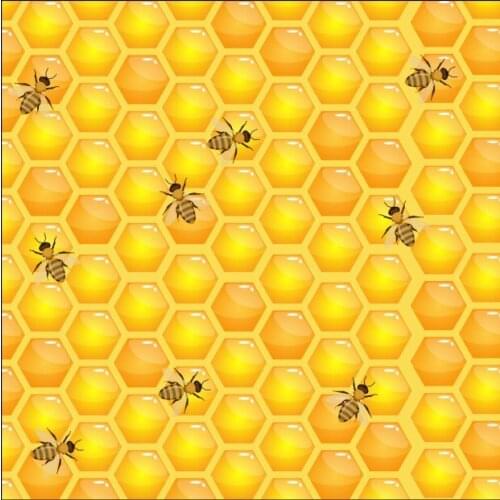 VinylBDS Customized Background Photography Backdrops Backgrounds for Photo Studio