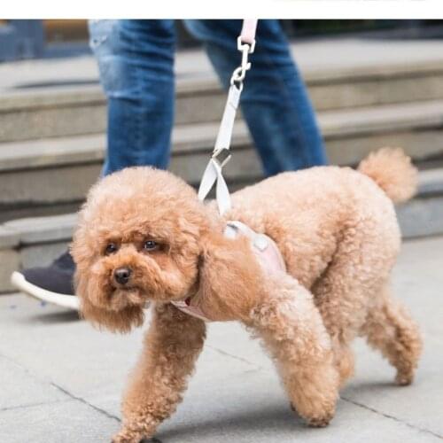 The dog protective car seat cushion and pet cushion are waterproof and ideal for transporting dogs for Porsche car