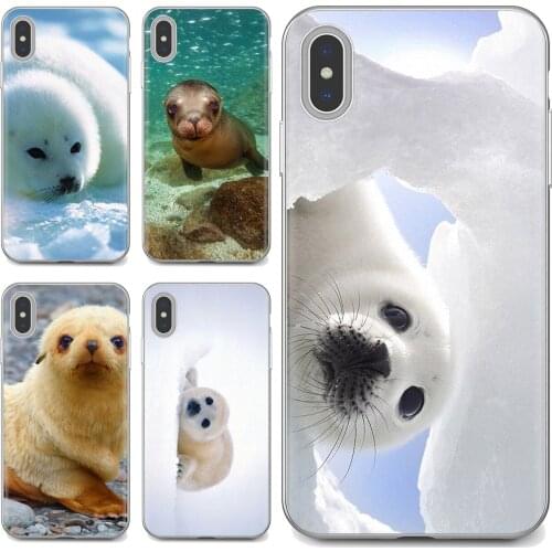 For Xiaomi Redmi 2 S2 3 3S 4 4A 5 5A 5 6 6A 7A 9 9T 9C 9A Pro Pocophone F1 Cases Baby Seal Arctic Snow Print Nature