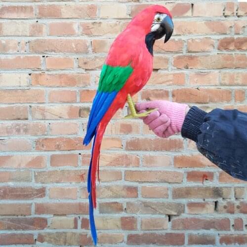 New simulation red parrot toy polyethylene&furs big parrot model gift about 60cm 0061