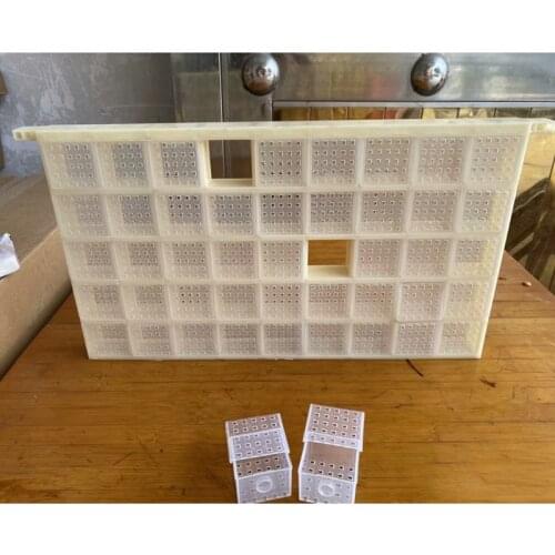Multifunctional Plastic Queen Bee Storage Device Bee Cage Box for Queen Rearing Breeding Anti Escaping Beekeeping Tools