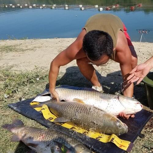 Portable Foldable Unhooking Mat Carp Fishing Waterproof Landing Mat for Fish Protection Carp Fishing Tackle 95 x 46cm