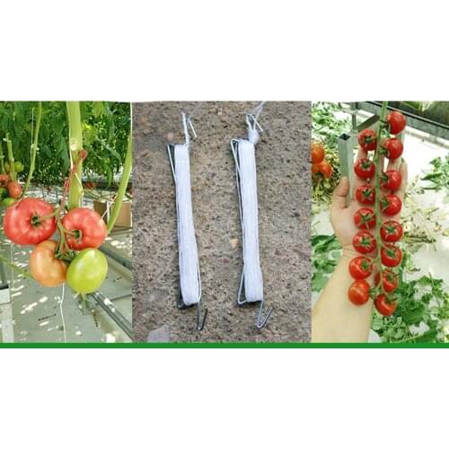 2pc 100cm Fruit Cherry Tomato Ear Hook Anti-crush Hooks Garden Vegetable Plant Support Tomato Clips Trellis for Garden flower