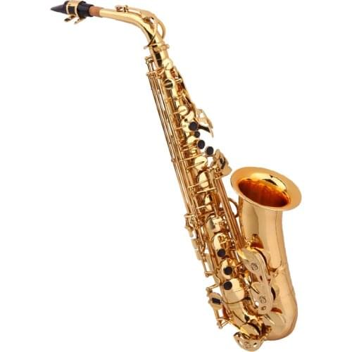 Alto saxophone paint golden flower, students alto saxophone