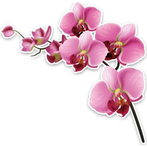 LLY-1286 Fashion Car Sticker Interesting Orchid Modeling Decal PVC High Quality Waterproof Sun Protection Auto Decals Decoration