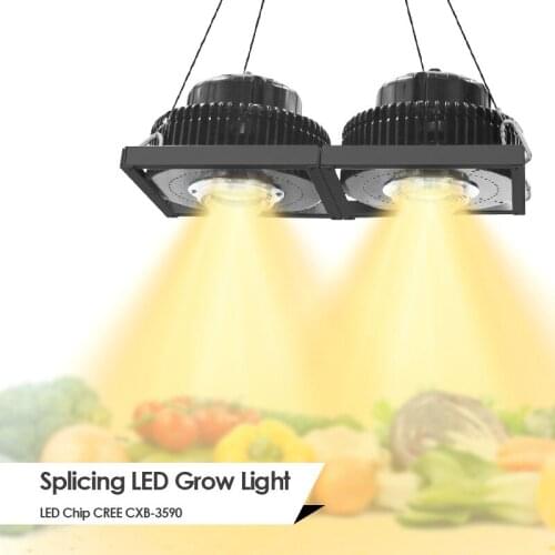 CREE CXB3590 100W 200W 300W 600W 900W COB LED Grow Light Full Spectrum LED Growing Lamp Meanwell Driver For Plant Growth Light