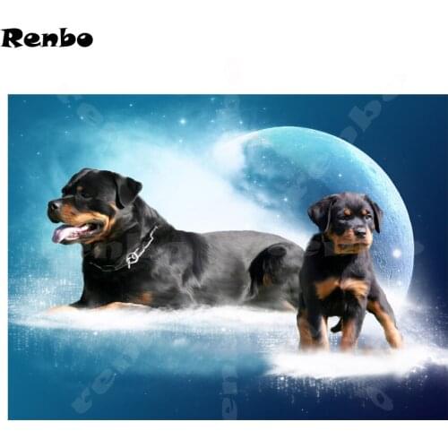 Renbo/仁波 Accessories For Girls