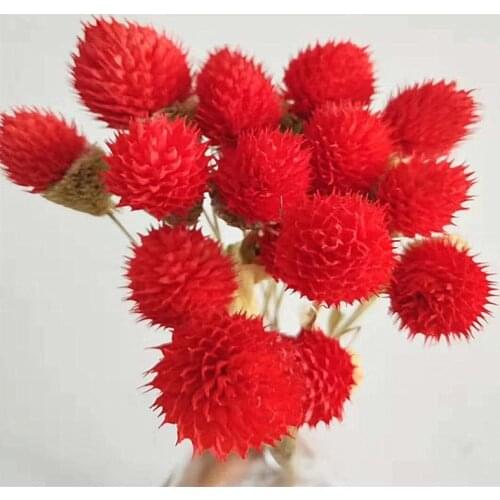 Natural Preserved Fresh Flowers Dried Gerbera Paniculata Babys Breath Flores Bouquets Gift For Wedding Decoration Home Decor