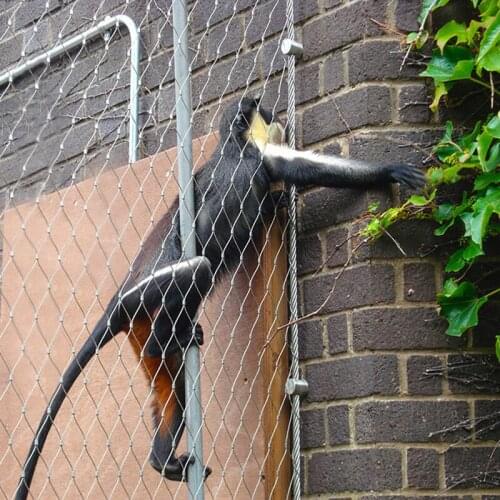 Enclosure Animal Metal 304 stainless steel wire rope mesh/ zoo mesh/bird netting