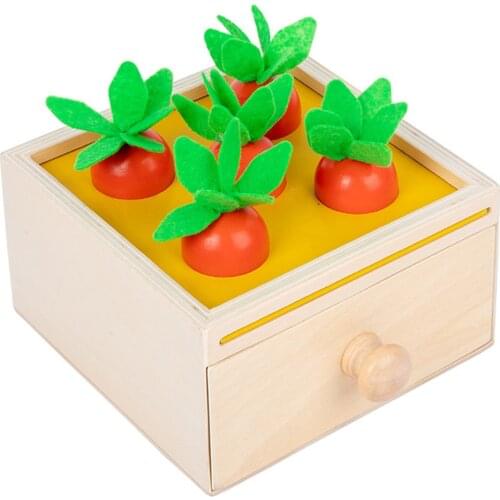 Toddler Wooden Sensorial Montessori Set Educational Toys Infant Box Board Teaching Wood Game and Toys Preschool