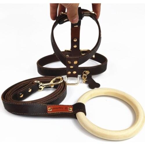 Adjustable Pet Dog Vest Harness Leash Set French Bulldog Chest Harness for Small Medium Dogs Dropshipping A235