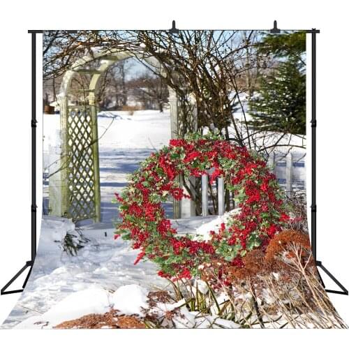 Lyavshi Christmas photography background winter snowflake garden tree door photograph background fond studio vinyl prop