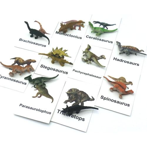 Montessori Language Materials Dinosaur Matching Cards Educational Toys For Children Words Learning Juguetes Montessori F2744H
