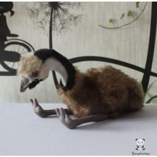 Stuffed Toys Soft Real Life Plush Australian Ostrich Dolls Wild Animal Model Nice Present Shops
