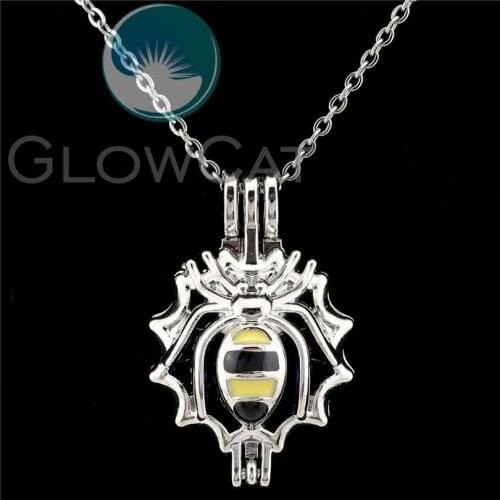 K1045 Colors Enamel Spider Web Beads Pearl Cage Perfume Diffuser Pendants Locket Necklace