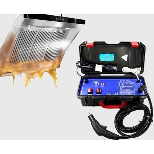 Steam cleaning machine 3000W 4.5Bar High temperature High Pressure Air conditioner range hood car Commercial cleaning tools
