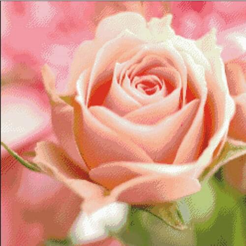 Delicate Pink Rose Flower Top Quality Embroidery Needlework 14CT Unprinted Cross Stitch Kits DIY Arts Handmade Home Decor