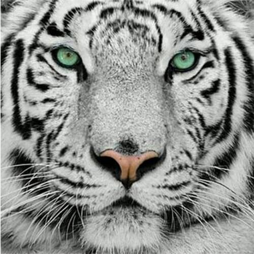 5D Diy Diamond Painting Cross Stitch Kits Full Diamond Embroidery White tiger Needlework Diamond Mosaic Home Decor GLYP-276