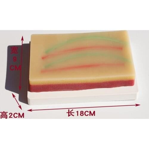 Multifunctional skin vein model injection training module Skin model puncture training