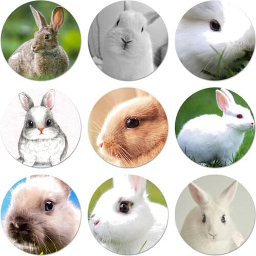 Cute White Baby Rabbits Icons Pins Badge Decoration Brooches Metal Badges For Clothes Backpack Decoration 58mm