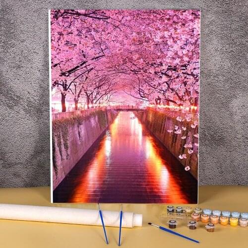 Flower Sakura DIY Paint By Numbers Set Oil Paints 40*50 Canvas Pictures Handmade For Handiwork