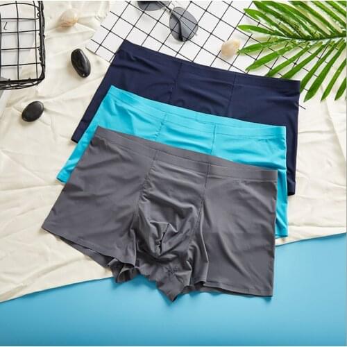 Ice Silk Soft Shorts Youth One-Piece Seamless Breathable Strong Briefs For Gay Men Sexy Underwear Boxer Male Lot J087 13 Color