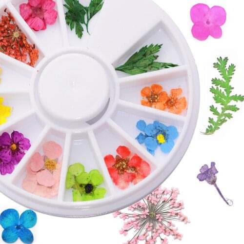 1 Wheel Real Dried Flower Nail Decoration Natural Mixed Dry Flower Sticker DIY Nail Art Decals 3D Jewelry UV Gel Polish Manicure