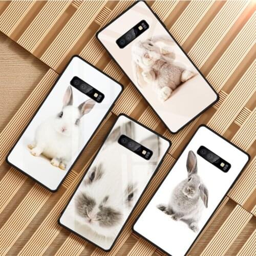 Cute Rabbits Tempered Glass Phone Case For Samsung Galaxy S8 S9 S10 S20 PLUS J8 J6 J4 2018 NOTE 8 9 10 Cover Shell