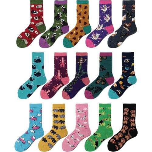 DTSTARZG Skateboards