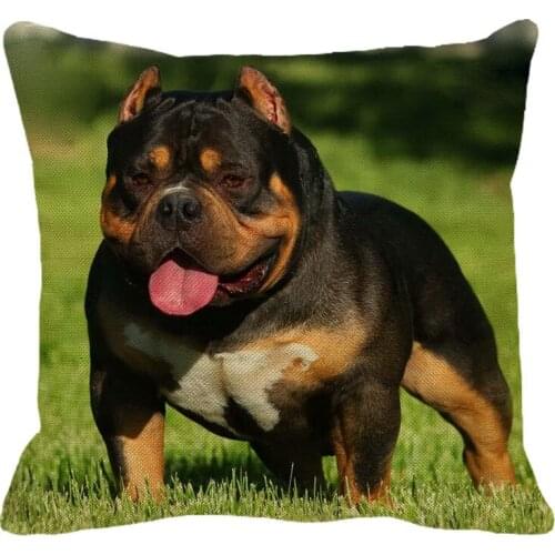 XUNYU 45cmx45m pet American bully dog new cotton linen comfortable cushion cover home sofa decoration hug pillowcase YH061