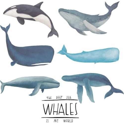 Nordic style Blue Whale Wall Stickers for Kids room Kindergarten Bedroom Eco-friendly Vinyl Wall Decals Art DIY Home Decor