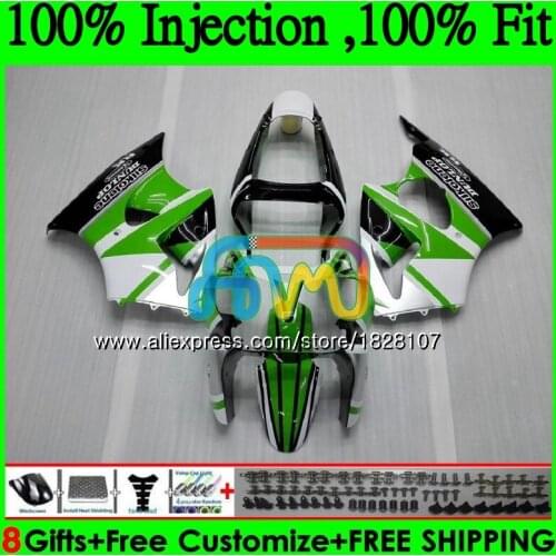 OEM For KAWASAKI 600CC ZZR600 ZX600CC Bodywork 14BS.144 ZZR-600 ZZR 600 05 06 07 08 2005 2006 2007 2008 Fairing Green white kit