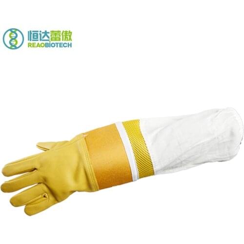 NO.8 Beekeeping Garden Farm Bee Gloves Beekeeper Equipment and Tools Bees Apicultura