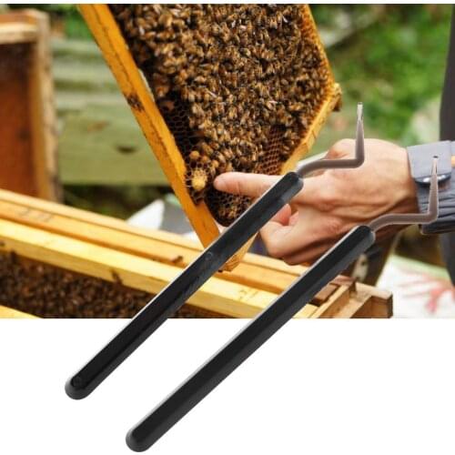 2Pcs Hive Queen Rearing Plastic Bee Needle Beekeeping Stainless Steel Bee Grafting Tools