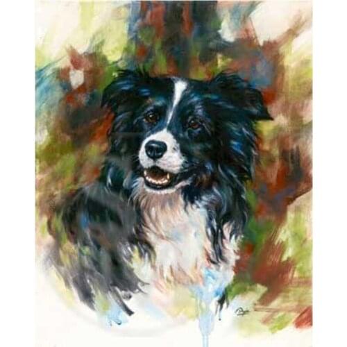 Diamond embroidery Border collie 5d diamond painting full diamond mosaic cute pet dog 3d picture of rhinestones cross-stitchL552