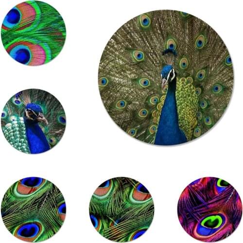Beauty peacock feather Icons Pins Badge Decoration Brooches Metal Badges For Clothes Backpack Decoration 58mm