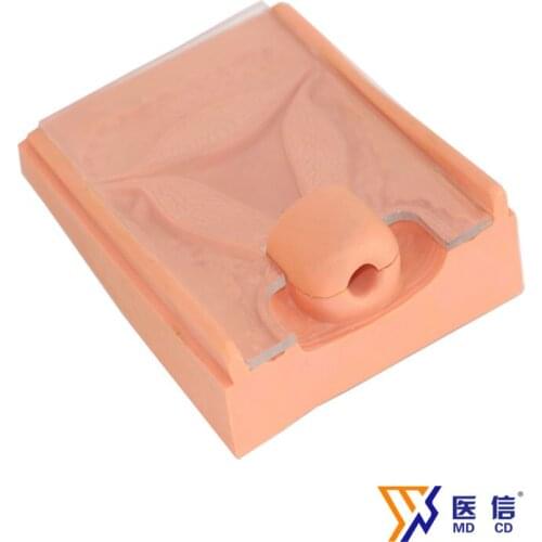 Contraception guidance model family planning training model IUD training model eudcationmodel