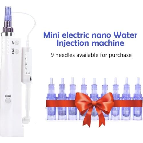 2 In 1 Hydra Injector with 12pcs Needles Derma Pen Nano Mesotherapy Microneedle Dr Pen Mesogun Portable Smart Injector Pen