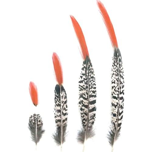 Natural Lady Amherst Pheasant Feathers Feathers for Crafts 5-30cm/2-12" Feathers Jewelry Making Carnaval Assesoires Plumas