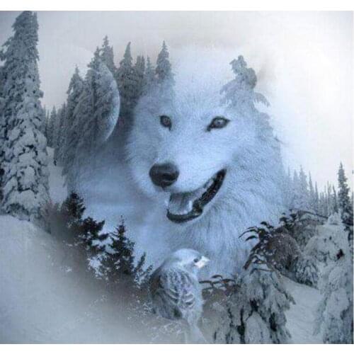 Diy Diamond Painting Cross Stitch"Snow Mountain Wolves"5d Full Resin square Diamond Mosaic Embroidery Rhinestones Decor C625