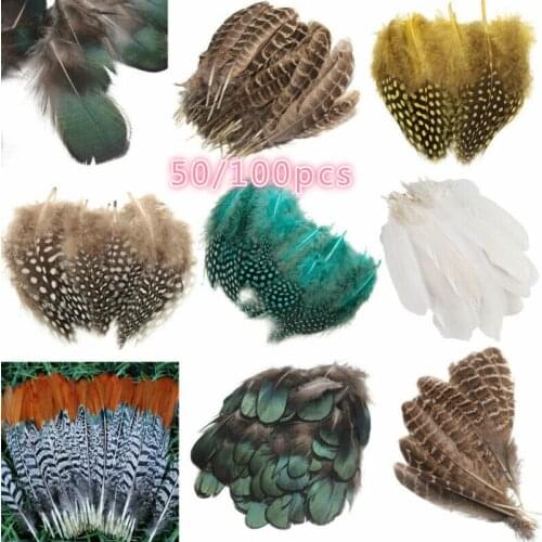 Natural Feathers 7cm 2.5-8cm 4.5-10cm 10-15cm 15-20cm 20-25cm Turkey Plume Jewelry Craft Making Accesories for Wedding Party