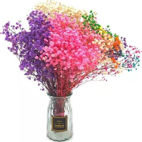 1 Bunch Of Mini Natural Dried Flowers Eternal Flower Bouquet Decoration Photography Decoration Home Christmas Wedding Decoration